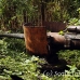 guns_japanese_nusalavu_h_0705_2341.jpg